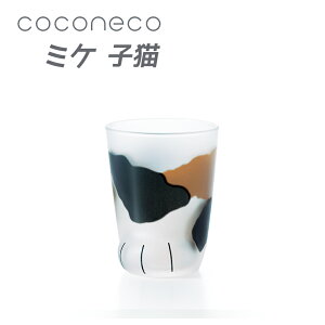 �����˂� �q�L�~�P �l�R �O���X �A�f���A 1�� coconeco �L �l�R