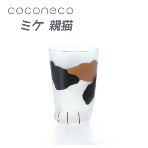 �����˂� �e�L�~�P �l�R �O���X �A�f���A 1�� coconeco �L �l�R