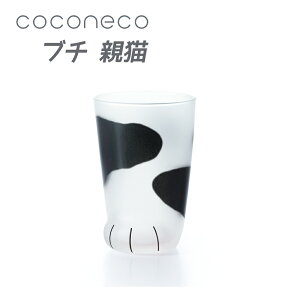�����˂� �e�L�u�` �l�R �O���X �A�f���A 1�� coconeco �L �l�R