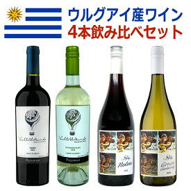 【16日01:59まで！ エントリー＆店内3点購入でポイント最大10倍！】 ウルグアイ 4種飲み比べセット ウルグアイの代表品種タナを含む 4種のワイン