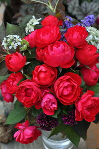 y~Gczoc `F[{jJ Yc 6Aim_ѐY o^insJ-IRM3ty1120̔z