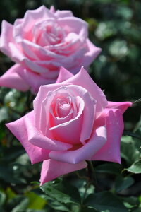 ocyczojeBHT Yc 6AisJ-HT20t