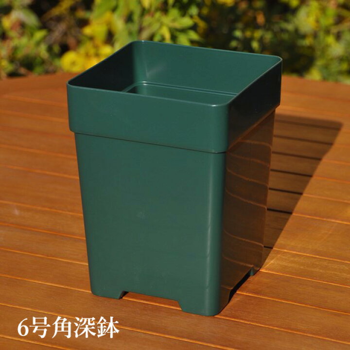 楽天市場】【6角】プレミアローズセレクション【6号角深鉢】ロサ 