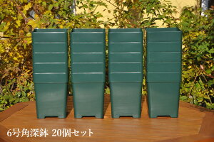 y6p×20Zbgzv~A[YZNVy6p[20ZbgzTIGeBX RN^[Y|bgyoEpzZIK-10000