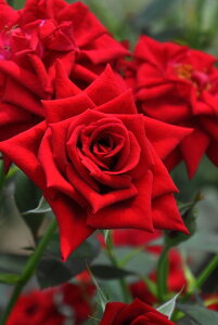 ocyczm[ Yc 6Aim_insJB-KWI2t