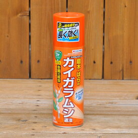 {殺虫剤}カイガラムシエアゾール 480ml ※土セットと同梱可※(1個まで) ZIK-10000