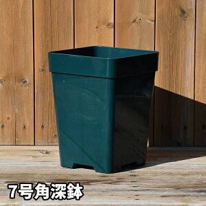 y7pzv~A[YZNVy7p[zTIGeBX RN^[Y|bgyoEpz ZIK-900