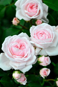 y~Gczoc Vf Yc 6Aim_ѐY o^insJ-IRM3ty1120̔z