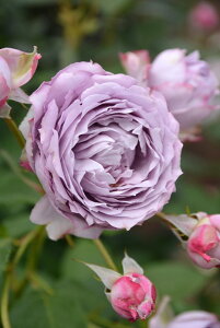 y~Gczoc m@[X Yc 6Aim_ѐY o^insJ-IRM3ty1120̔z