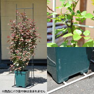 【Bells More】グローフェンス【本体】◆配送日時指定不可 【直送品】ZIK-10000 《ベルツモアジャパン》…