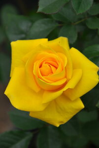 y~Gczoc hD\C Yc 6Aim_ѐY o^insJ-IRM3ty1120̔z