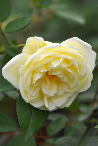 ocyczytFNVIhDvW[ Yc 6AisJ-OB20t