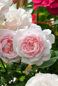 ySzyczoc bVTeB Yc 6Aim_insJB-AEt2024tVi Ԍ