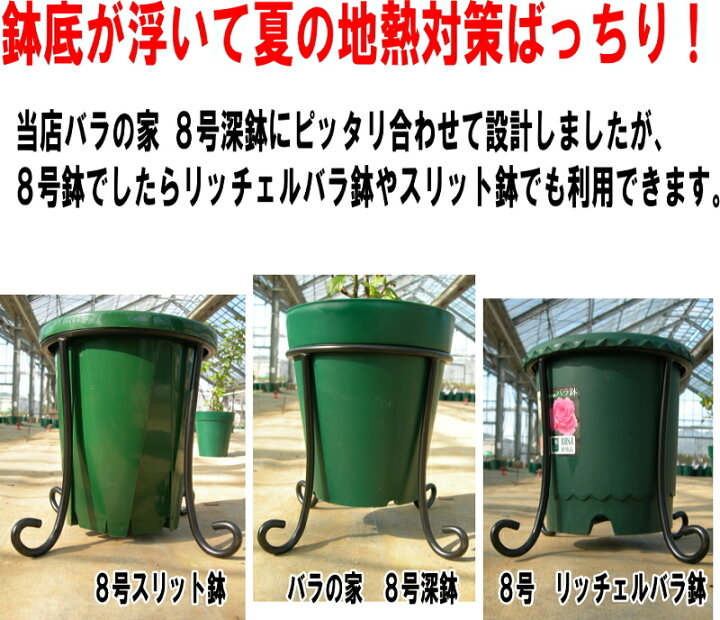 楽天市場 Bells More バラの家 8号鉢用ローズスタンド Sr B ベルツモアジャパン バラの家 バラ苗専門店