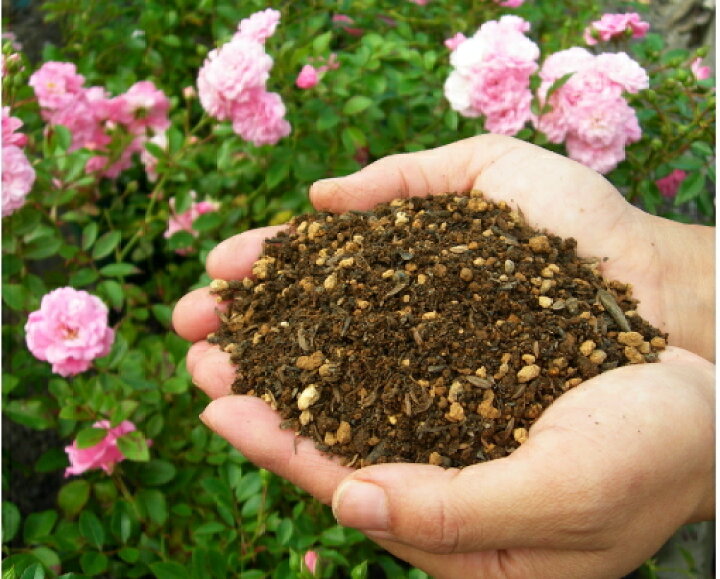 楽天市場 180サイズ バラの家 培養土 バラの土 14リットル 沖縄 離島配送不可 配送佐川急便 Zik バラの家 バラ 苗専門店