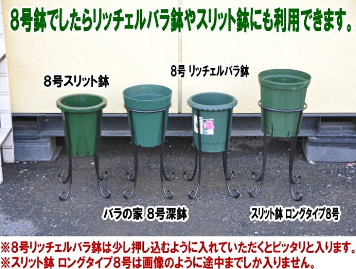 楽天市場 Bells More 8号ロング バラの家 8号鉢用ロングローズスタンド Sr Bh ベルツモアジャパン バラの家 バラ 苗専門店