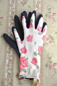 EBYK[fv~AV[Y ~iXy[Yz(K[fO[uAfB[X YA|)lR|XւɂĔ 㕥s/ws ZIK-900