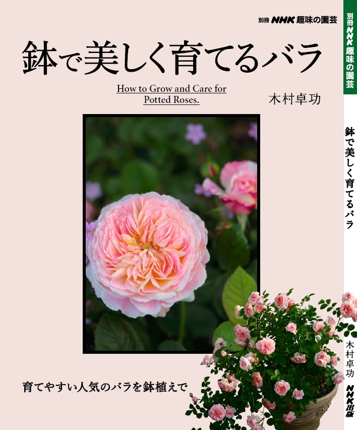 送料無料 本 鉢で美しく育てるバラ 代引不可 別冊NHK趣味の園芸 初回限定 現品 日時指定不可