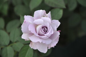 ySzyczoc イyz Yc 6Aim_ѐY o^insKb-KBOt Ԍ