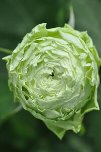 ocycze[F[ Yc 6Aim_insJ-ROt