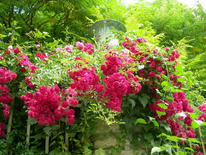 ocyczbhhV[p[LXyGNZTz Yc 6AisJ-OC20t