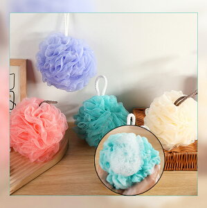 {fBX|W Aălbg {fBEHbV oX{[ ̐􂢁y4Zbgz{fB uV ^I bV X|W EHbV RR ӂӂ Lׂ A Rt  oX O