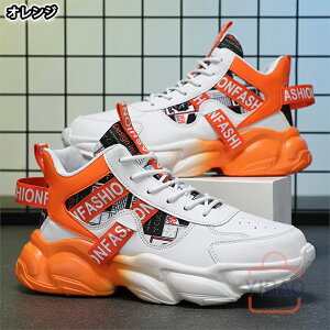 Xj[J[ jOV[Y j Ȃ Ȃ y ɂ ₷ C V[Y EH[LOV[Y  ʋ ʊw U EH[LO AEghA Lv lC 