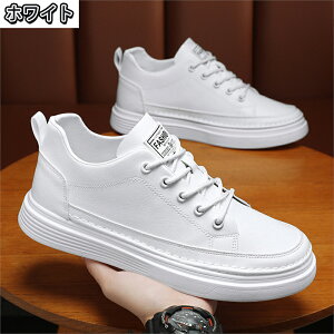 Xj[J[ jOV[Y Y Ȃ Ȃ y ɂ ₷ C V[Y EH[LOV[Y  ʋ ʊw U EH[LO AEghA Lv lC 