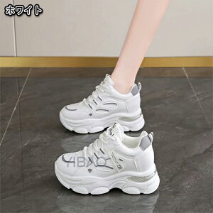 Xj[J[ jOV[Y fB[X Ȃ Ȃ y ɂ ₷ C V[Y EH[LOV[Y  ʋ ʊw U EH[LO AEghA Lv lC 