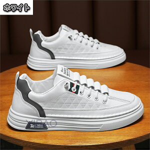 Xj[J[ C zCg  k mEF[ TXeBiu TXeiu zCgXj[J[ g d ʊw  GR wZ C\[  mfBbNCg Xj[J[ ^