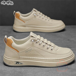 Xj[J[ jOV[Y j Ȃ Ȃ y ɂ ₷ C V[Y EH[LOV[Y  ʋ ʊw U EH[LO AEghA Lv lC 