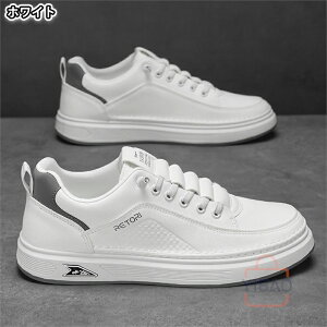 Xj[J[ jOV[Y j Ȃ Ȃ y ɂ ₷ C V[Y EH[LOV[Y  ʋ ʊw U EH[LO AEghA Lv lC 