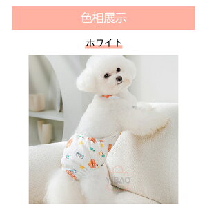 p}i[pc pc qpc Tj^[pc p}i[pc ނJo[ TXy_[t }i[xghbOEFA p  p VjA  U  