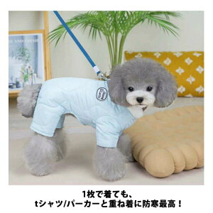 lr xXg `bL ȃxXg  ̕ ^ m ۉ 畆ی h 킢 Lp