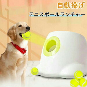 ejX{[`[ p ~jC^NeButFb`  @g[jO V 3ނ̔ˋ  ybg