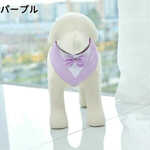 ybg փX[c hbOEFA tH[}  ybg  LOʐ^  ^LV[h ̕ ybg ybgpi p j 킢  X[c pȒP ybgG