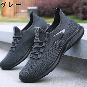 Xj[J[ Y fB[X X|[c   bV ʋC ؍ ₷ ₷ y y ~ JWA YXj[J[ jO EH[LO g[j