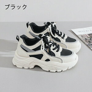  Xj[J[ fB[X _bhXj[J[ EH[LOV[Y _CGbg Xj[J[ JWA ꂢ ʋC y ɂ _CGbgXj[J[ JWA ^C i[XV