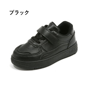 Xj[J[ LbY WjA ̎q j̎q V[Y C ^C q qCjOV[Y }WbNe[v ʊw X|[c y JWA Vv ^ w ct qǂ