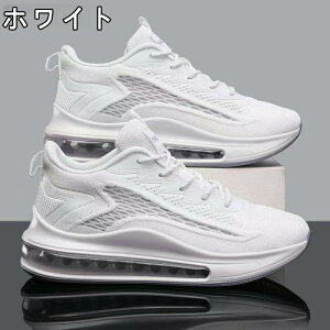 Xj[J[ Y fB[X X|[c   ʋC ؍ ₷ ₷ y y ~ JWA YXj[J[ jO EH[LO g[jOV