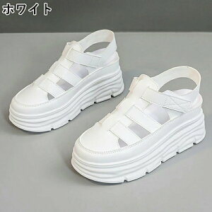 T_ fB[X T_ RtH[gT_  ~ X|T }WbNe[v X|[c fB[XV[Y y AEghA ₷ L RtH[gT_ q[