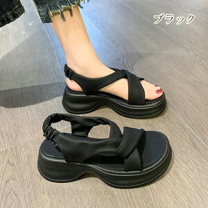 X|[cT_ fB[X O T_ fB[X RtH[gT_ Ȃ T_  L T_  r[`T_ fB[XT_  y 