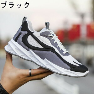 Xj[J[ Y fB[X X|[c   ʋC ؍ ₷ ₷ y y ~ JWA YXj[J[ jO EH[LO g[jOV