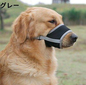  /݂h~    i h~ ObY ݂h~ ʖi ObY ΍ EH p ^p ybgpi pi ^ ^߂