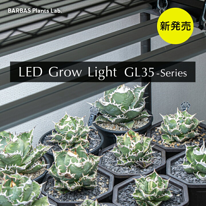楽天市場】BARBAS Plants Lab. アガベ 植物育成ライト led育成ライト 