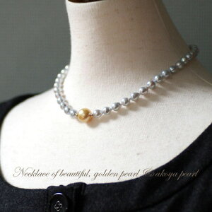 󏭁II i`O[^ƓVRS[hm^ 嗱 p[ lbNX AR ^ S[fp[ VRp[ iۏ 30 40 50 60 v[g  