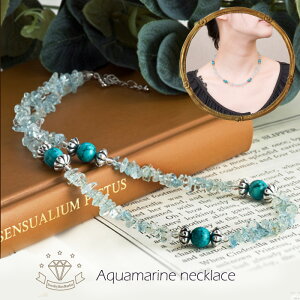 VR ^[RCY lbNX ANA}  3 12 a VR WG[ fB[XWG[ ANZT[ t@bV fB[X iۏ 30 40 50 60 v[g 