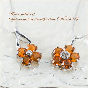 Vg lbNX t[ K18 zCgS[h y_g WG[ ANZT[ fB[XWG[ 40 50 t@bV iۏ 30 40 50 60  v[g 