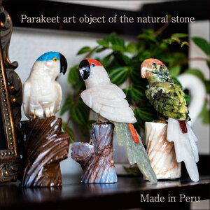 CR ZLZCCR   VR 蒤 IuWF CeA A 킢 CeAEu  G   v[g  bsO