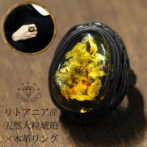 uE {v׍H y gAjAY  t[TCY O w fB[X Ao[ RnN VR 嗱 Y WG[ ANZT[ iۏ 30 40 50 60 ~ZX  